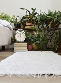 Potted plants on table at home