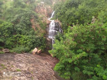 View of waterfall in forest