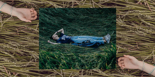 High angle view of man holding camera in farm