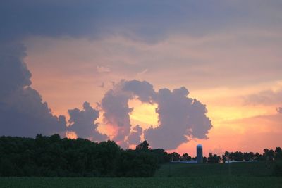 Trees growing on field against cloudy sky during sunset