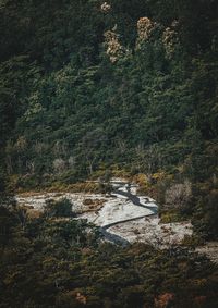 High angle view of waterfall in forest