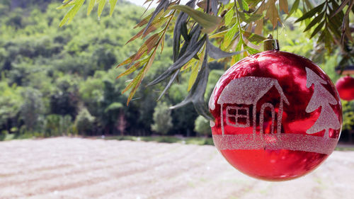 Close-up of bauble