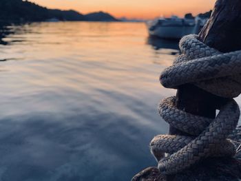 Close-up of rope on rock