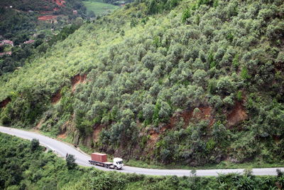 High angle view of road amidst trees