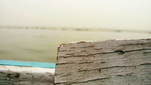 Close-up of wooden door