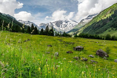 Scenic view of field and mountains against sky