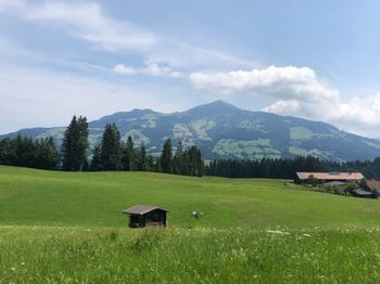 Scenic view of field and mountains against sky alps austria