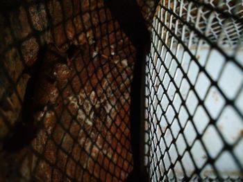 Close-up of chainlink fence