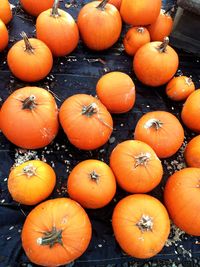 High angle view of pumpkins in market
