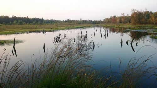 Scenic view of lake against sky