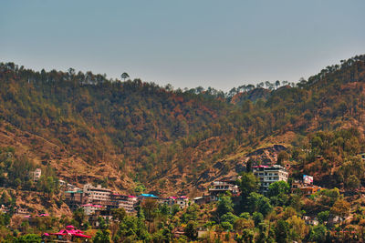 Trees and townscape against sky