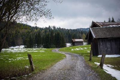 Empty road amidst trees and houses against sky