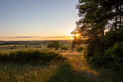 Scenic view of field against sky during sunset