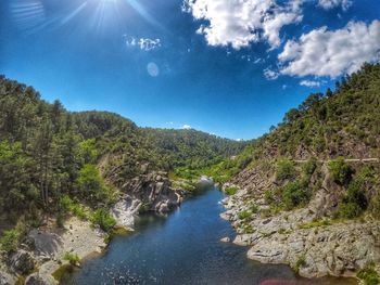 River amidst trees in forest against blue sky