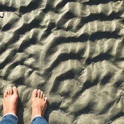 Low section of person on beach