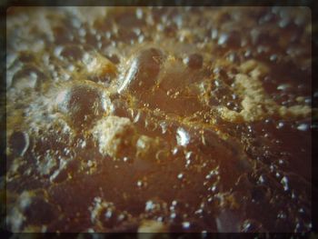 Close-up of turtle on surface