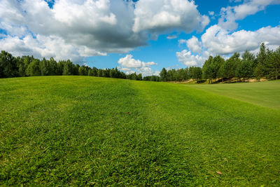 Scenic view of field against sky