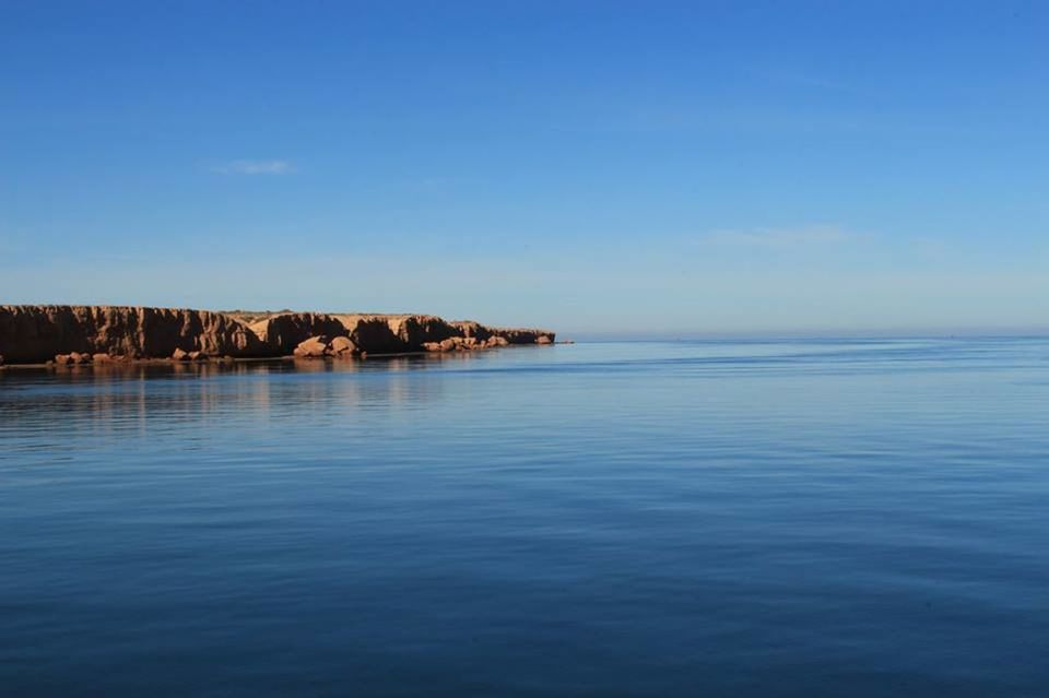 IDYLLIC VIEW OF SEA AGAINST CLEAR BLUE SKY