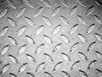 Full frame shot of dry leaves