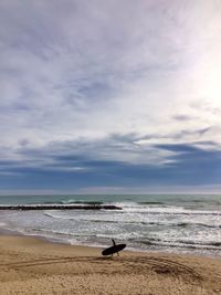 Man carrying surfboard walking at beach against sky