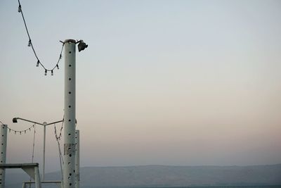 View of birds against clear sky