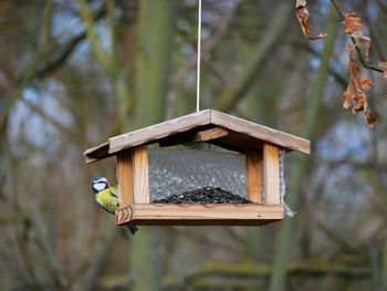 Close-up of birdhouse on wooden post