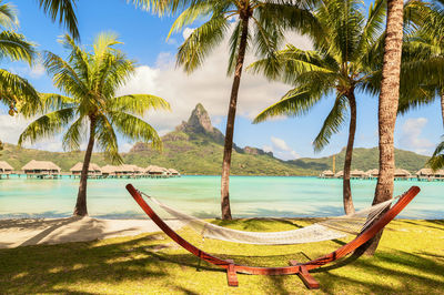 Empty hammock between palm trees on tropical beach with splendid view