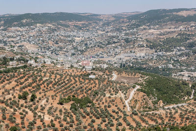 High angle view of trees and buildings