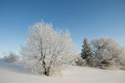 Frosty day on the top of the mountain