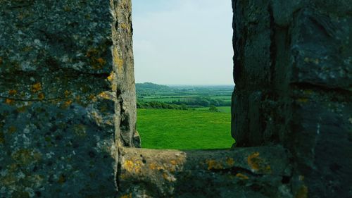 Scenic view of grassy landscape seen through window on sunny day