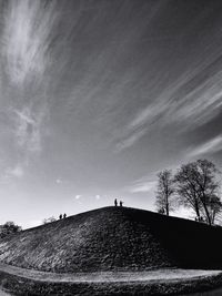 Trees against cloudy sky