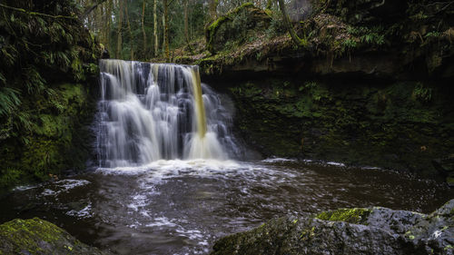 Scenic view of waterfall in forest