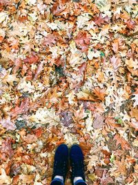 Low section of person standing on dry leaves during autumn