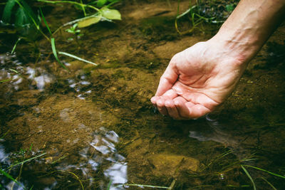 High angle view of hand in water