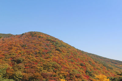 Scenic view of mountains against clear sky