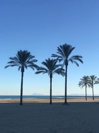 Palm trees on beach against clear blue sky