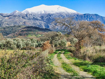 Scenic view of landscape against sky
