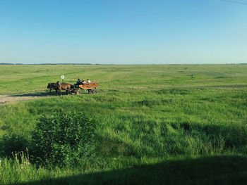 Scenic view of horse cart on field  against sky