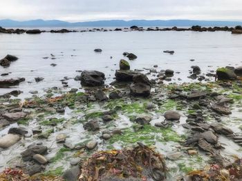 Rocks in sea against sky