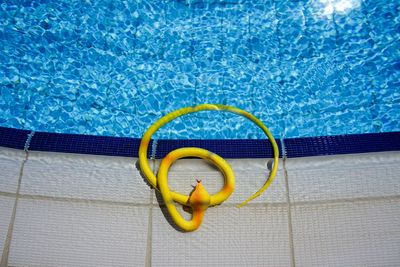 High angle view of toy snake at poolside