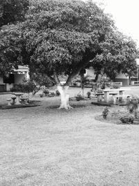 Trees in front of built structure