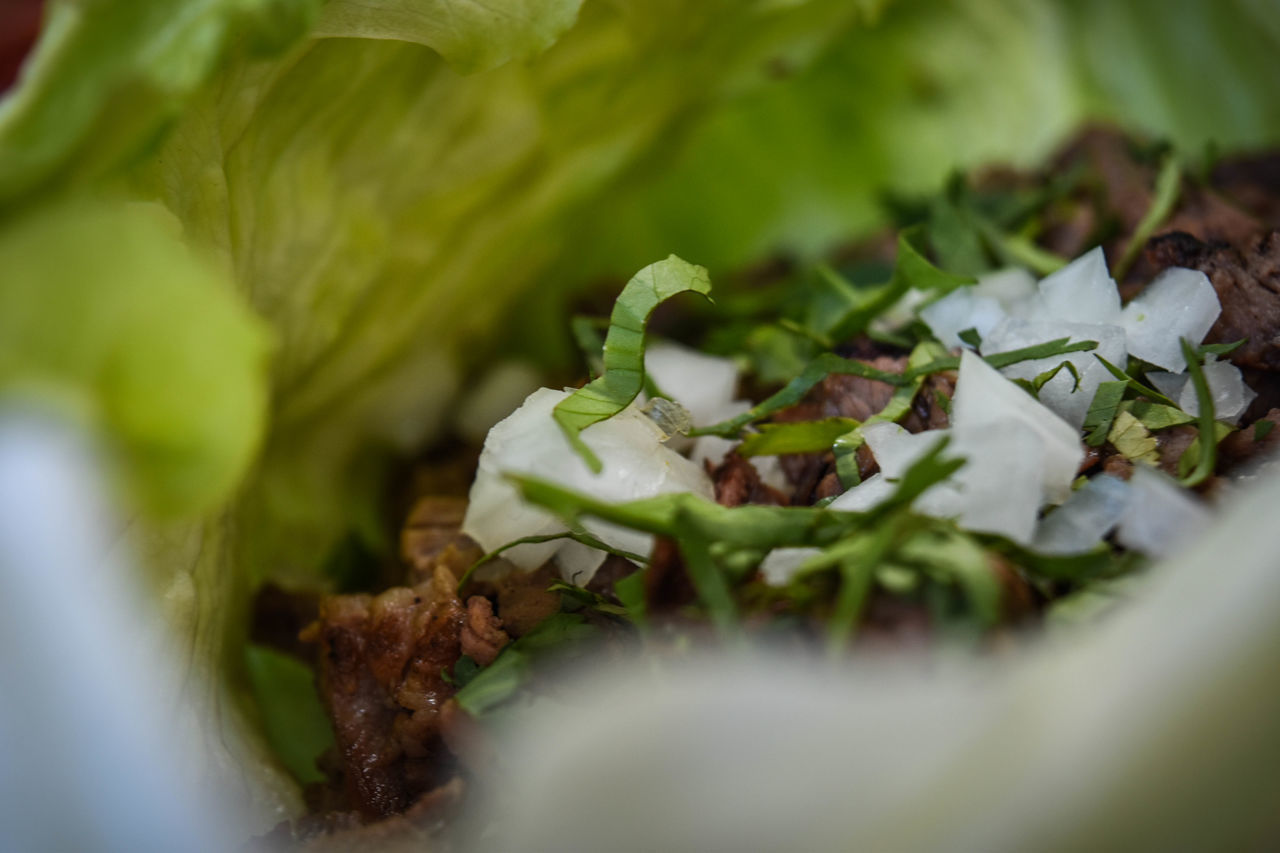 CLOSE-UP OF RICE WITH VEGETABLES