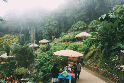 People walking along plants