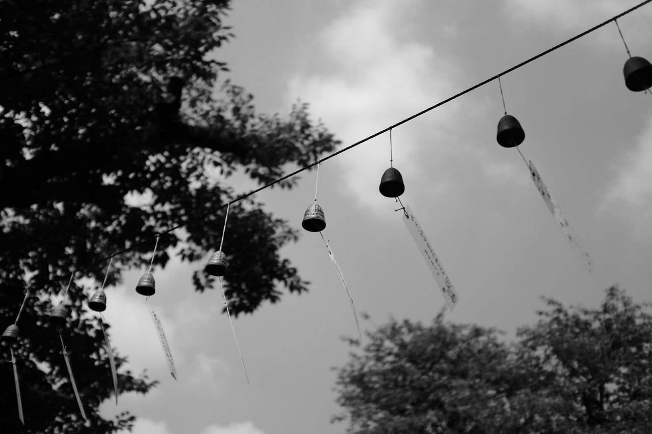 low angle view, tree, sky, electricity, lighting equipment, street light, cloud - sky, power line, hanging, cloudy, branch, cable, nature, cloud, technology, dusk, connection, silhouette, outdoors, no people