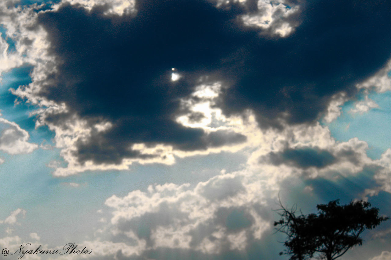 sky, no people, backgrounds, outdoors, nature, beauty in nature, close-up, day