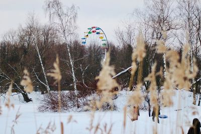 Low angle view of snow covered field