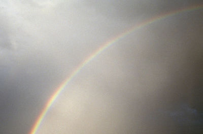 Rainbow over trees