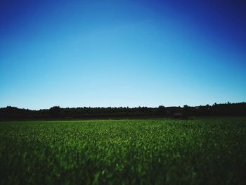 Scenic view of field against clear blue sky