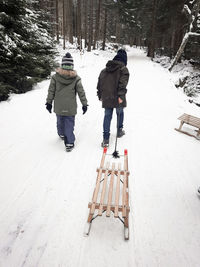 Rear view of boys pulling sled on snow covered landscape