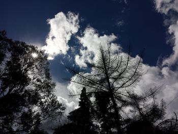 Low angle view of silhouette trees against sky